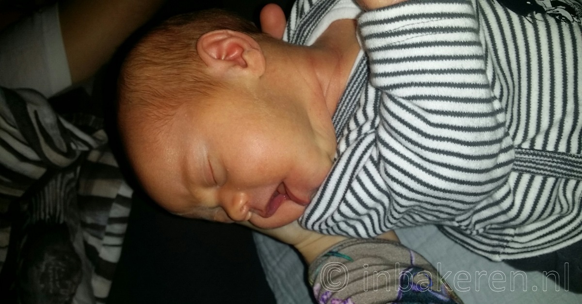 Wat Is Voeden Op Verzoek Hongersignalen Bij Een Baby